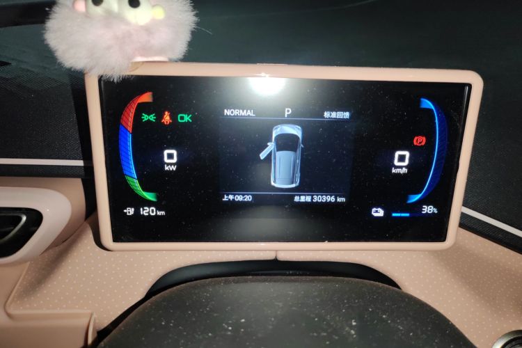 比亚迪 海鸥 2024款 荣耀版 305km 活力版中控内饰14
