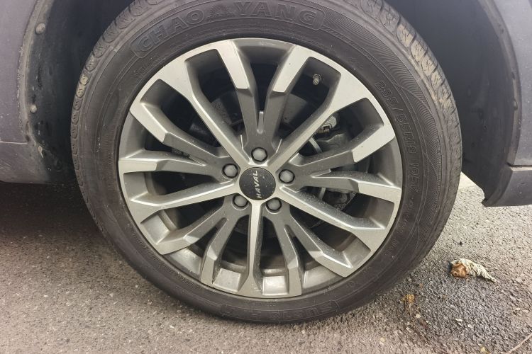 哈弗H6 2020款 1.5GDIT 自动铂金冠军版车身外观10