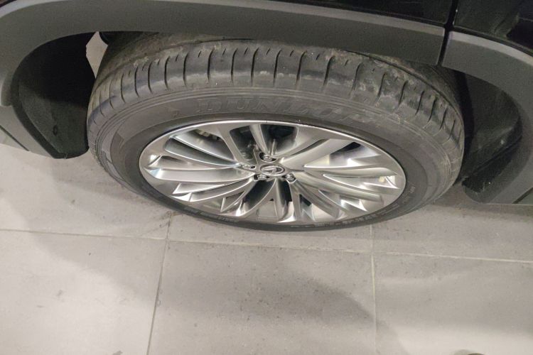 雷克萨斯RX 2020款 450hL 四驱醇享版7座车身外观6008