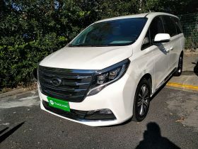 广汽传祺 传祺M8 2018款 320T 尊贵版