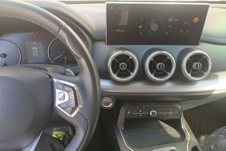 魏牌 VV5 2020款 1.5T 两驱颜先锋局部细节16