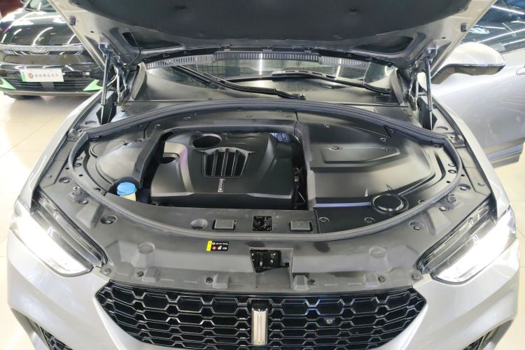 魏牌 VV7 2017款 2.0T 豪华型局部细节24