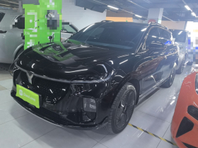 岚图汽车 岚图知音 2024款 四驱全球版