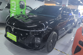 岚图汽车 岚图知音 2024款 四驱全球版