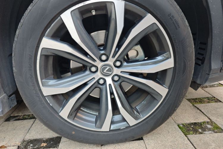 雷克萨斯RX 2020款 300 四驱典雅版 国VI车身外观10