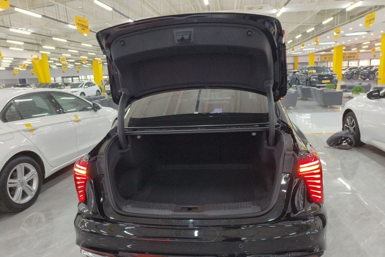 红旗H5 2023款 2.0T 自动智联旗畅版局部细节23