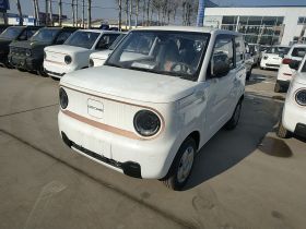 吉利银河 2024款 熊猫mini 200km 耐力熊