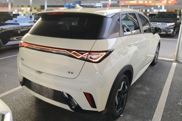 比亚迪 海豚 2024款 荣耀版 420km 自由版车身外观7