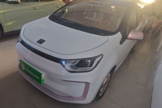 思皓 2022款 花仙子款 满天星