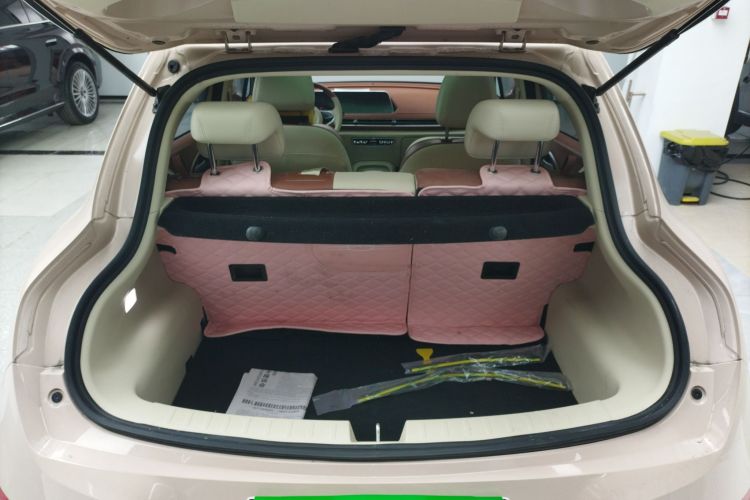 欧拉好猫 2021款 400km标准续航 维纳斯版 三元锂局部细节23