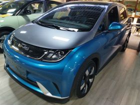 比亚迪 海豚 2023款 401km 骑士版