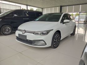 大众 高尔夫 2023款 改款 280TSI DSG Pro