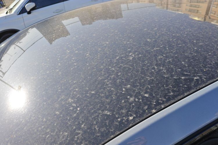 零跑汽车 零跑C01 2024款 增程 316尊享版局部细节57