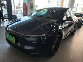 特斯拉 Model Y 2025款 长续航全轮驱动 首发版