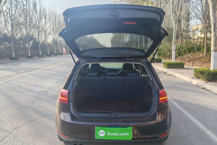 大众 高尔夫 2016款 230TSI 自动舒适型局部细节23