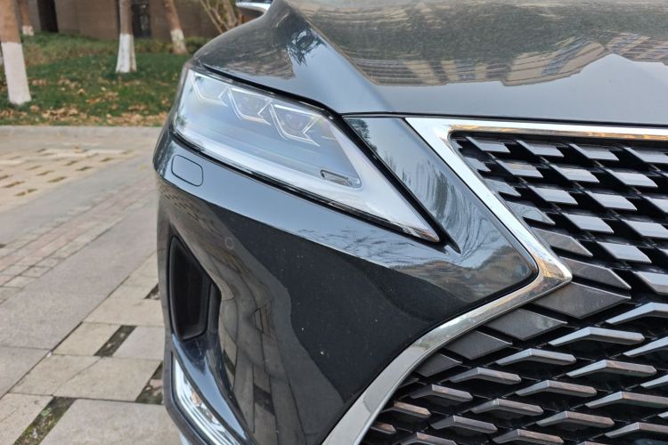 雷克萨斯RX 2020款 300 四驱典雅版 国VI车身外观8