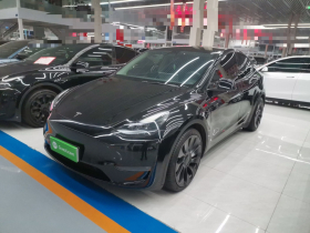 特斯拉 Model Y 2022款 Performance高性能全轮驱动版