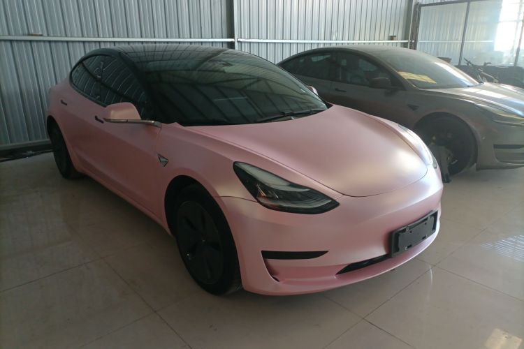 特斯拉 Model 3 2020款 标准续航后驱升级版车身外观6002