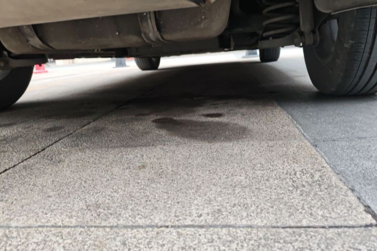 比亚迪 秦PLUS 2023款 冠军版 DM-i 55KM领先型局部细节9009