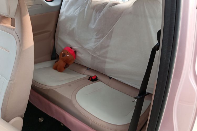 吉利银河 2024款 熊猫mini 200km 龙腾PRO版中控内饰21