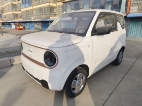 吉利银河 2024款 熊猫mini 200km 耐力熊