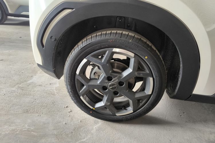 比亚迪 海鸥 2025款 智驾版 305km 自由版车身外观6008