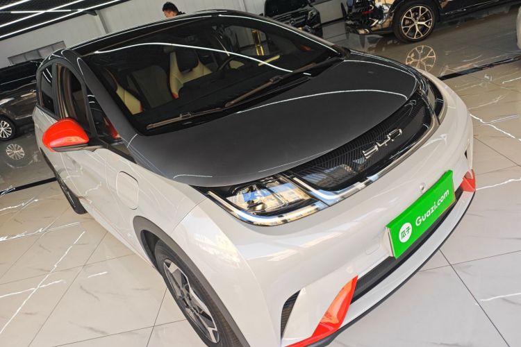 比亚迪 海豚 2021款 405km 时尚版车身外观3