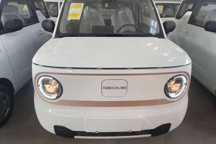 吉利银河 2024款 熊猫mini 200km 耐力熊车身外观6001