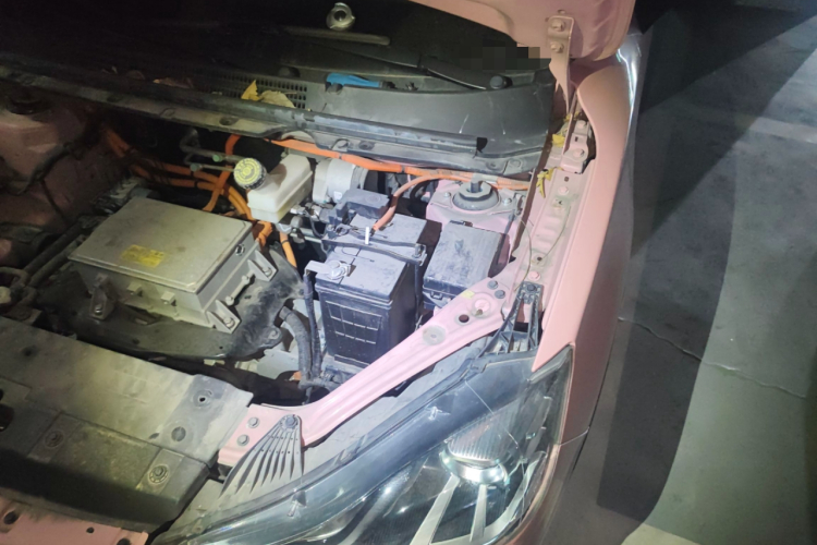 哪吒汽车 哪吒V 2022款 潮 400 Lite 粉色定制款局部细节9007