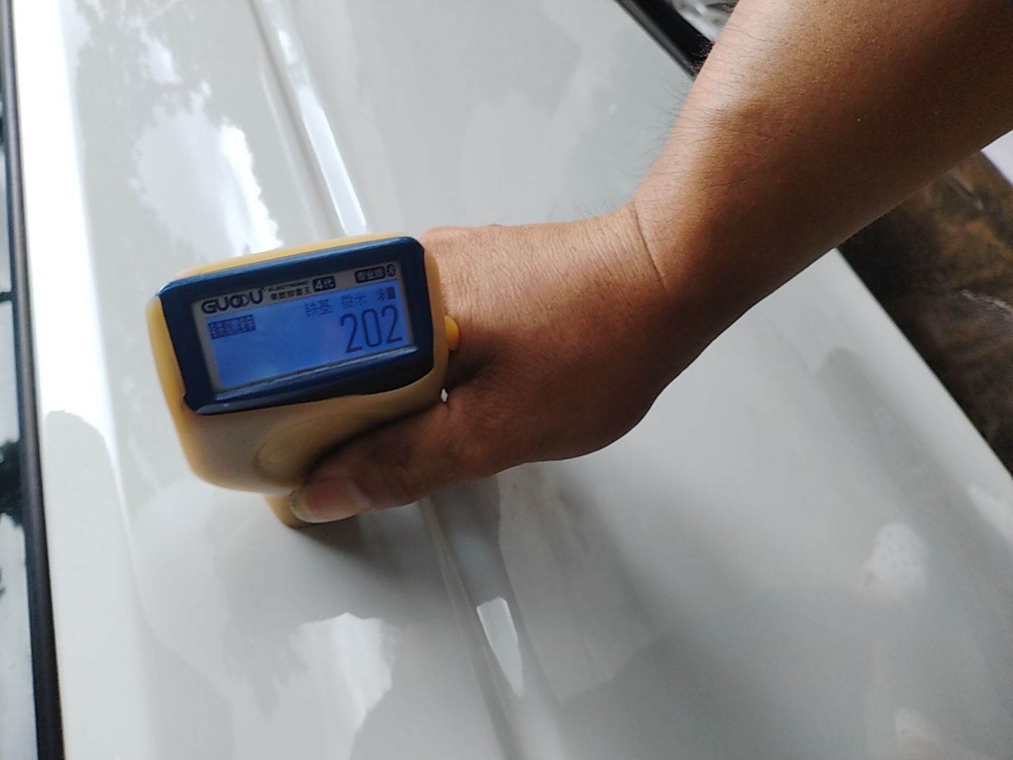 Задняя левая дверь: окрашен