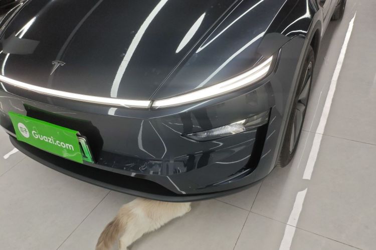 特斯拉 Model Y 2025款 长续航全轮驱动 首发版局部细节36