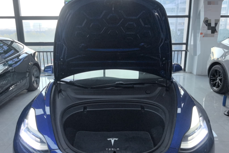 特斯拉 Model 3 2019款 标准续航后驱升级版局部细节24