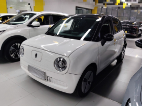 欧拉黑猫 2022款 301km 萌宠版 磷酸铁锂