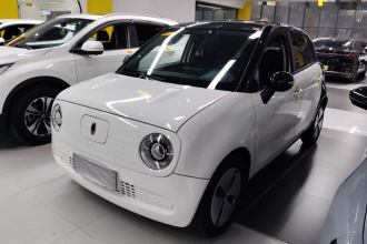 欧拉黑猫 2022款 301km 萌宠版 磷酸铁锂