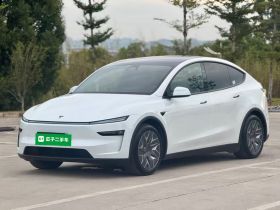 特斯拉 Model Y L 2025款 长续航全轮驱动版