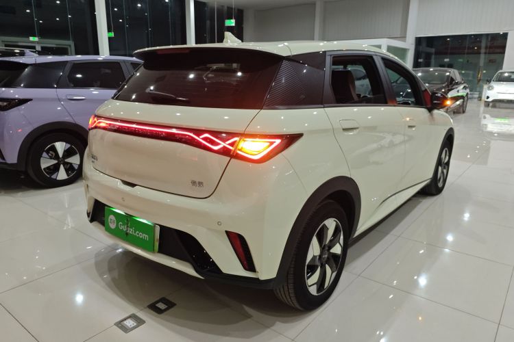 比亚迪 海豚 2024款 荣耀版 420km 自由版车身外观7