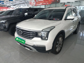 广汽传祺 传祺GS8 2017款 320T 两驱豪华智联版（七座）