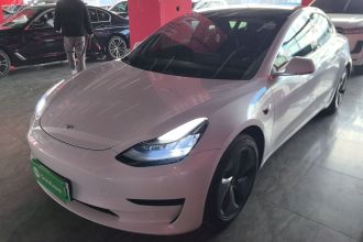 特斯拉 Model 3 2021款 标准续航后驱升级版
