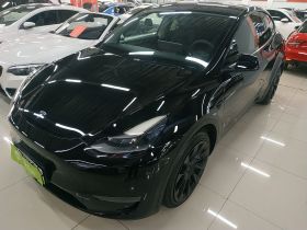 特斯拉 Model Y 2021款 长续航全轮驱动版