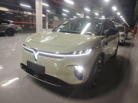 岚图汽车 岚图知音 2024款 长续航智享版