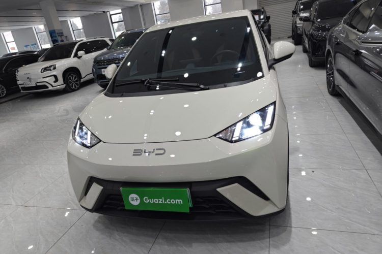 比亚迪 海鸥 2024款 荣耀版 305km 活力版车身外观2