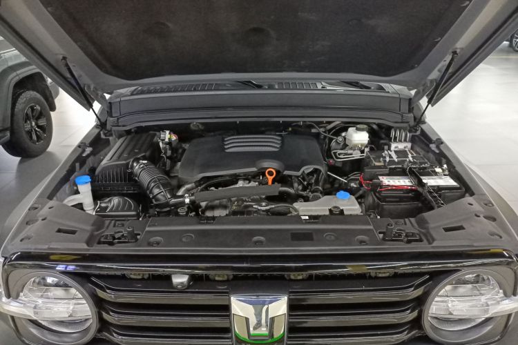 坦克300 2021款 越野版 2.0T 征服者机舱底盘24