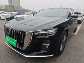 红旗H5 2025款 1.5T DCT旗韵版