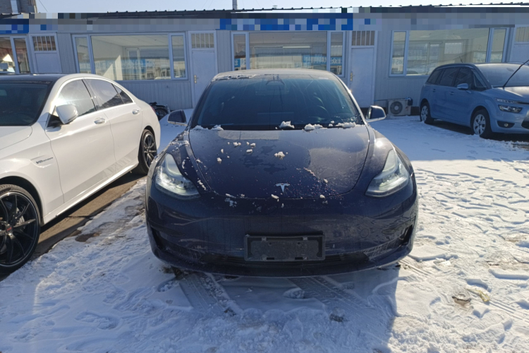 特斯拉 Model 3 2019款 标准续航后驱升级版车身外观6001