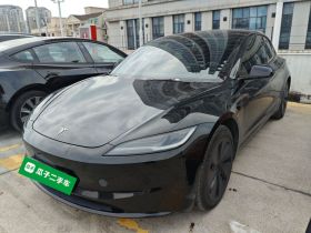 特斯拉 Model 3 2023款 后轮驱动版