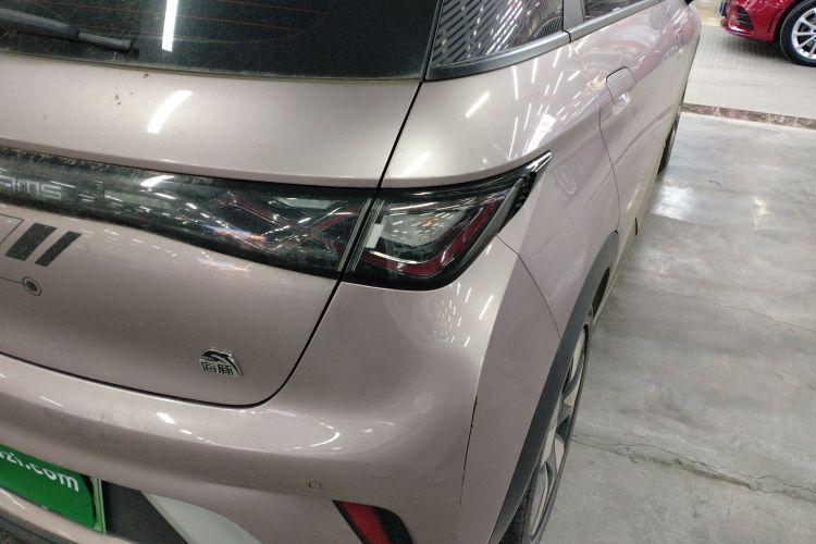 比亚迪 海豚 2023款 401km 骑士版车身外观9