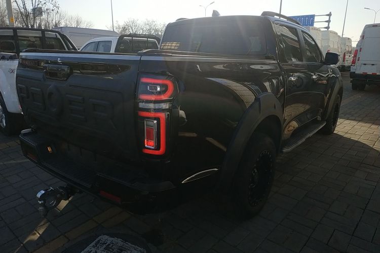 长城 炮 2023款 2.0T乘用版自动柴油四驱尊享型GW4D20M车身外观6005