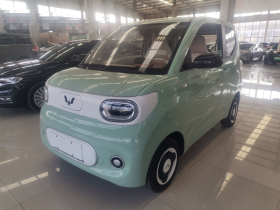 五菱汽车 宏光MINIEV 2024款 第三代 215km 青春版