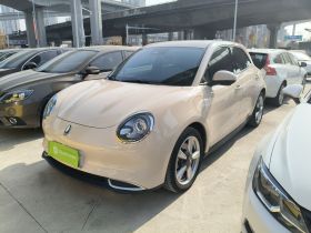 欧拉好猫 2023款 401km标准续航 尊荣型 磷酸铁锂