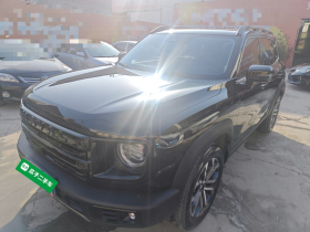 哈弗大狗 2024款 1.5T DCT边牧版